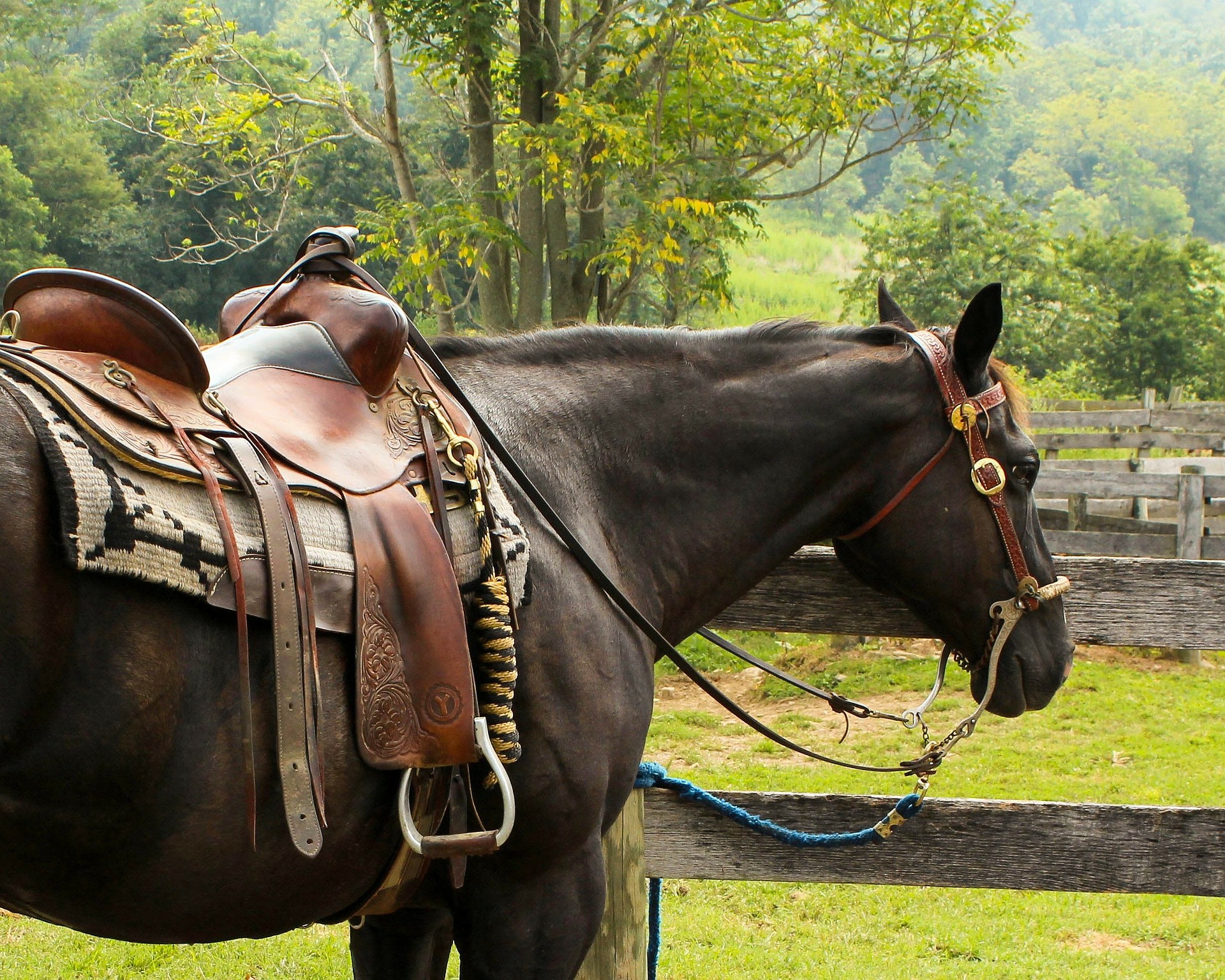 Horseback trail rides Diamond-P